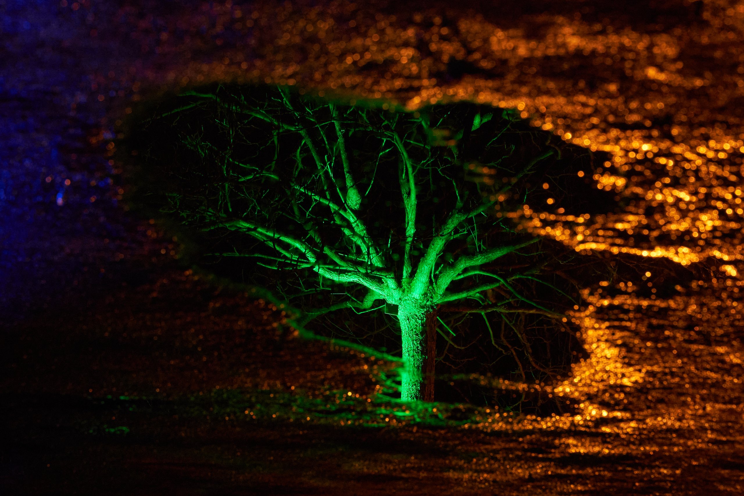 2023 01 24 Parkleuchten 0345